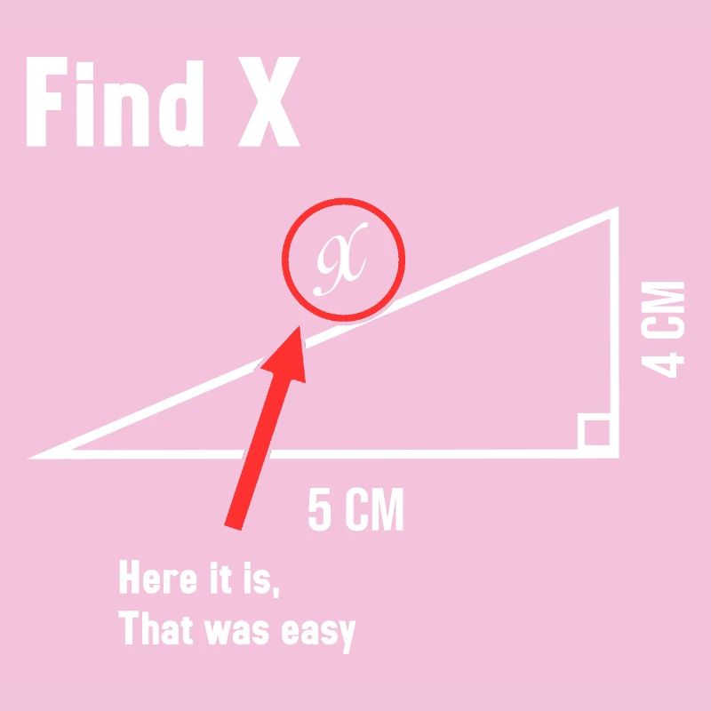 Trouver X Math Lover Mathématicien Professeur de mathématiques