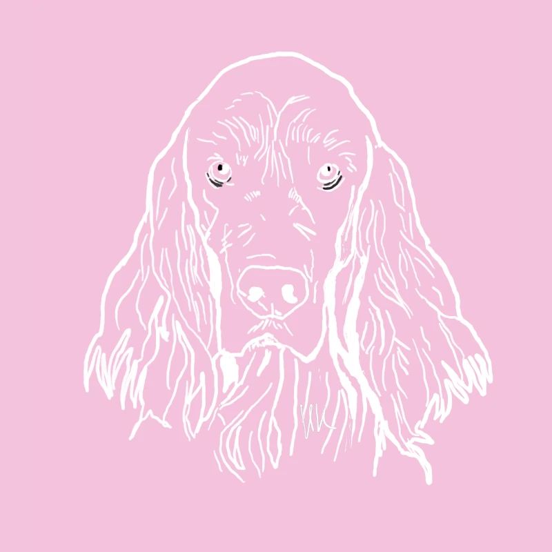 Irish Setter