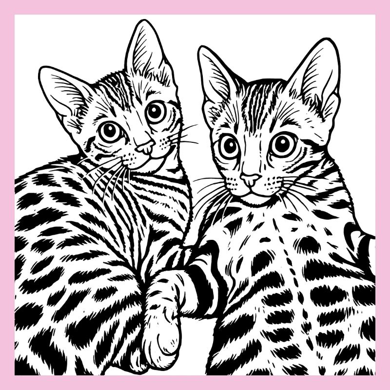 Cat Duo Line Drawing