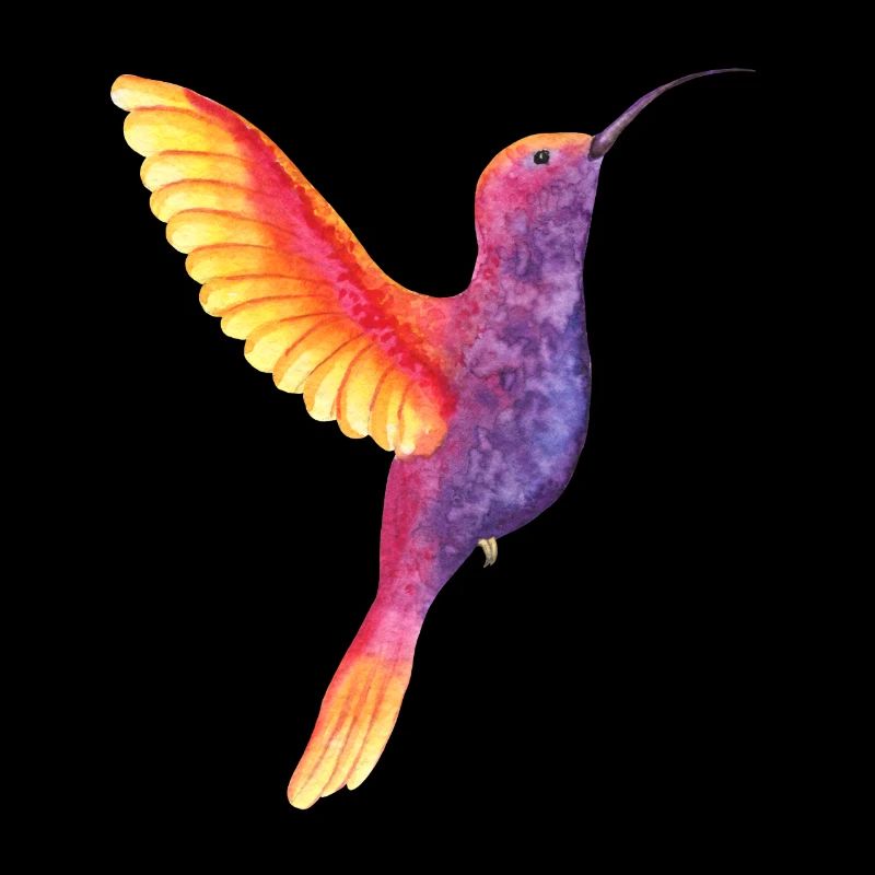 Colibri aquarelle vibrant