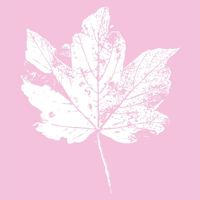 Feuilles Automne Feuillage des feuilles Automne