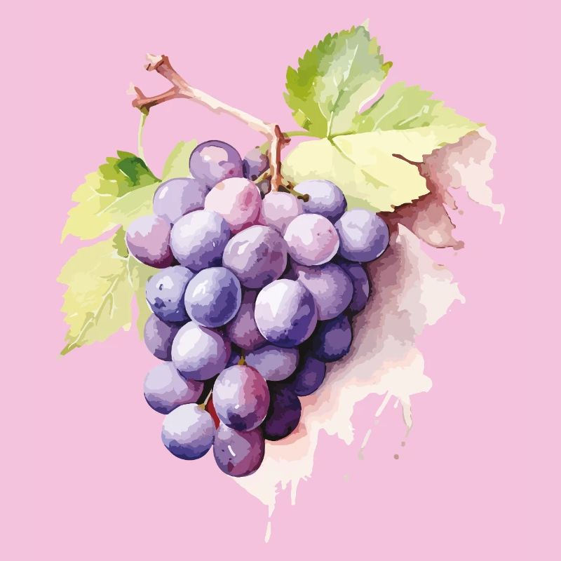 Grappe d’aquarelle de raisins
