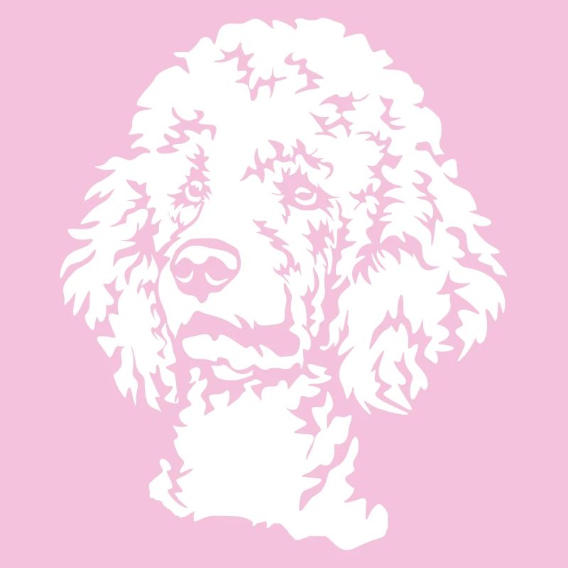 Tête de caniche « Black Edition »