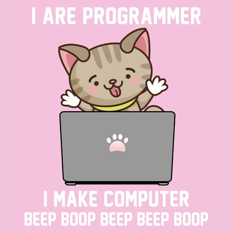 Programmierer