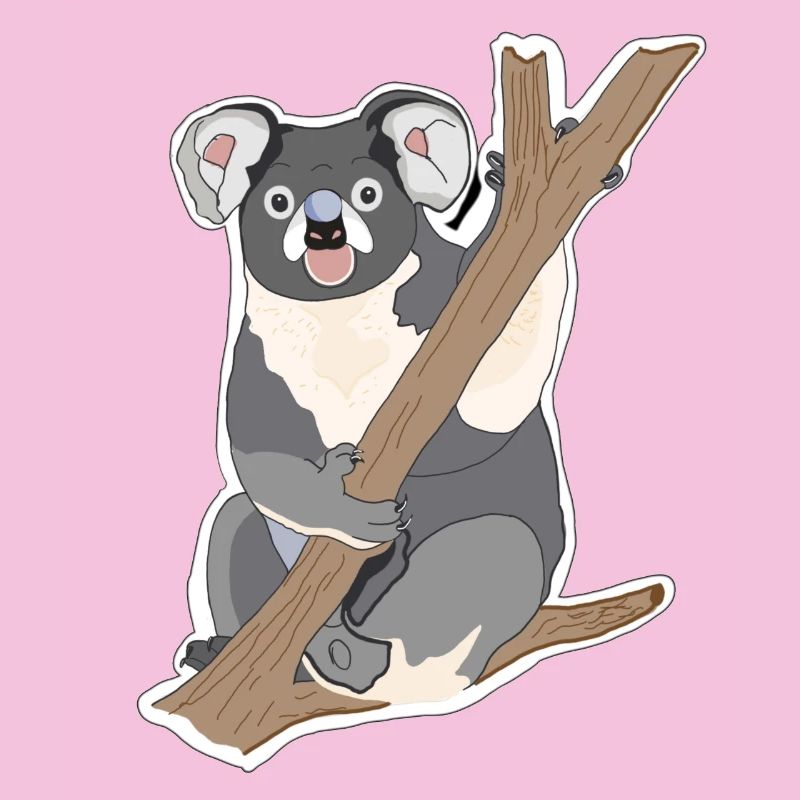 Koala Koala Bear