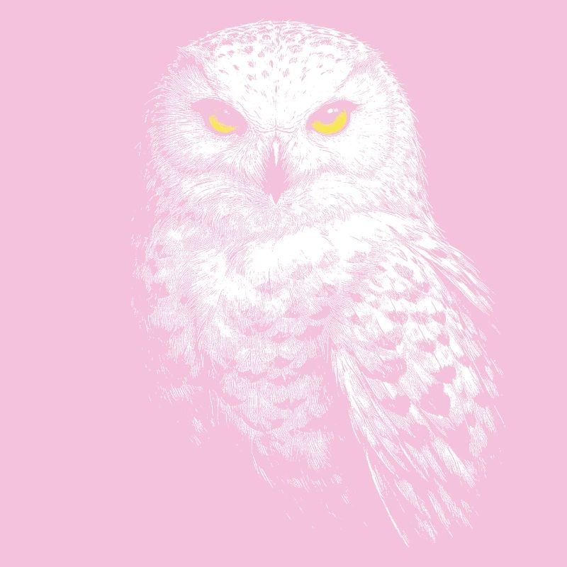Schneeeule