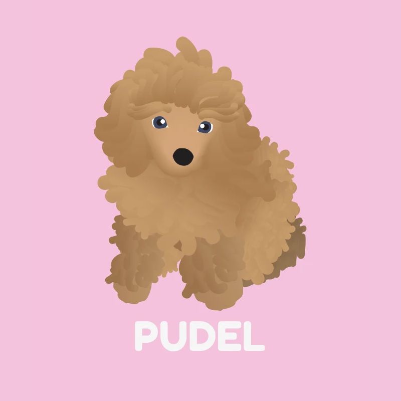 Chiot Caniche