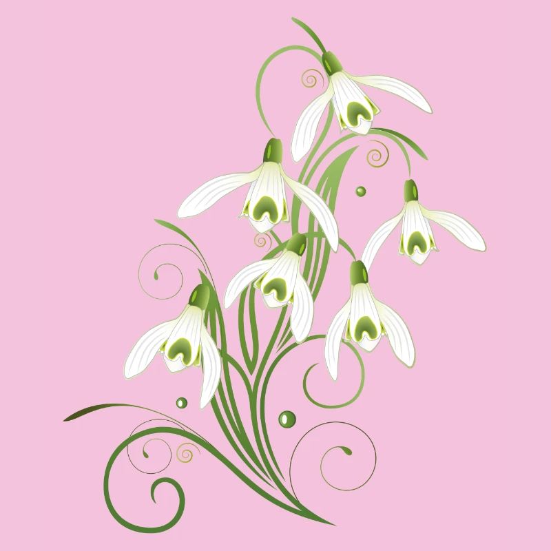 Fleurs de perce-neige. Le printemps arrive.