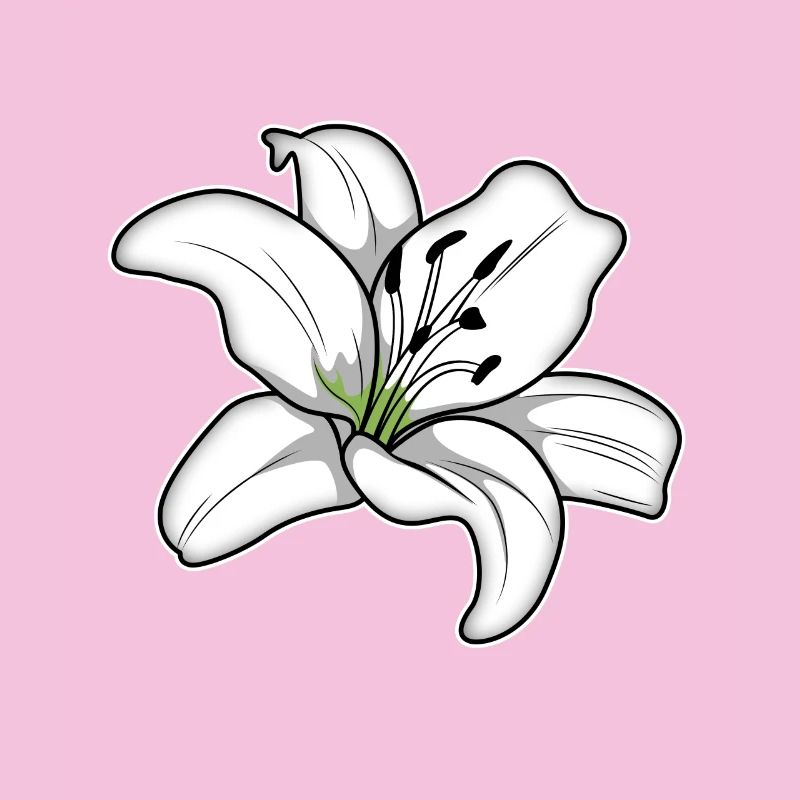 Élégante fleur de lys blanc