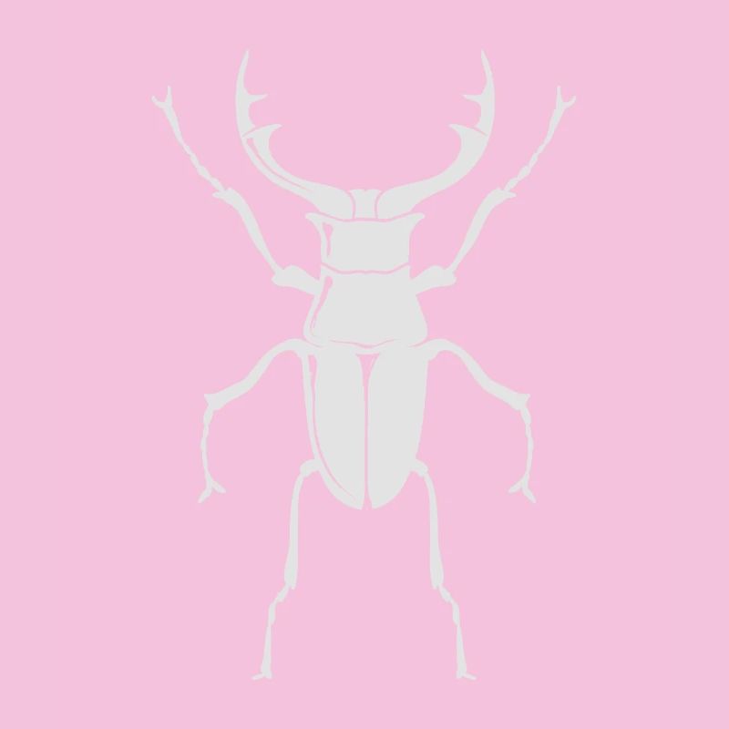 Grand coléoptère - insecte