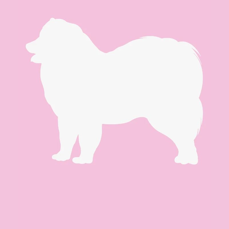 Samoyed