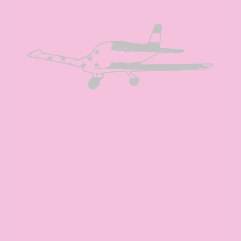 Flugzeug Pilot Luftfahrt