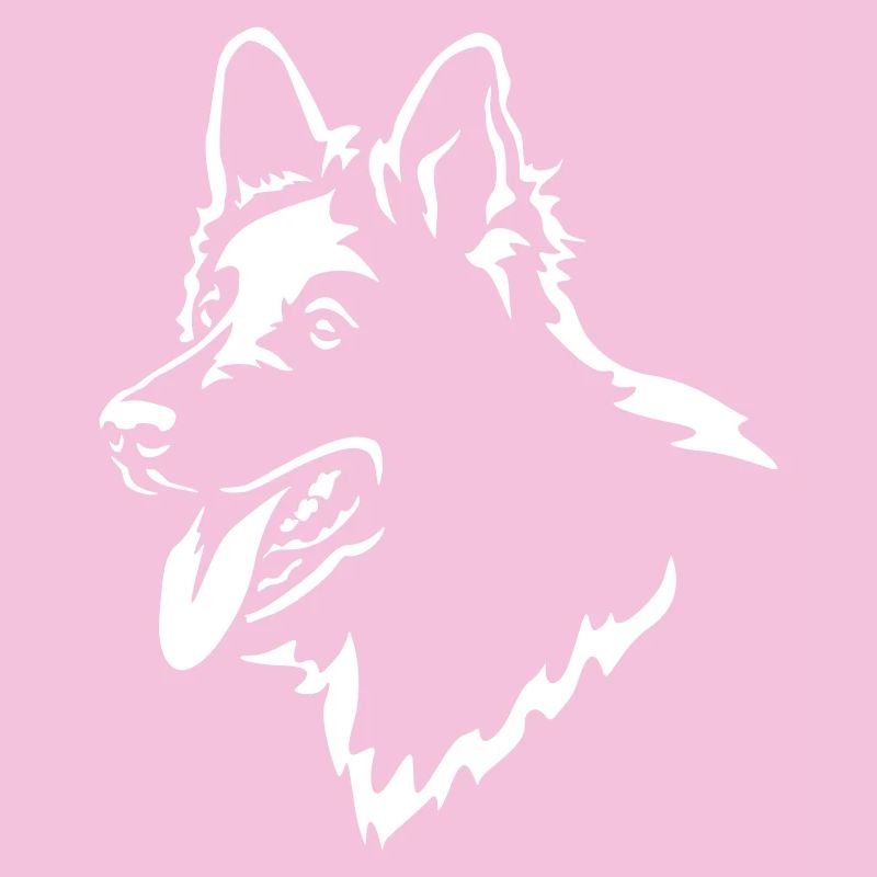 Schweizer Schäferhund Kopf