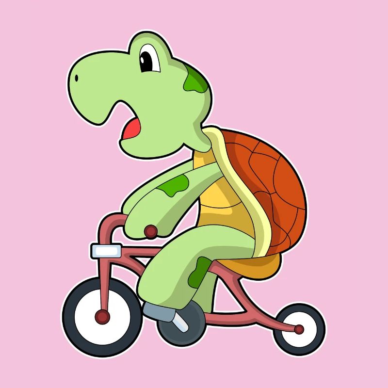 Turtle Bicycle