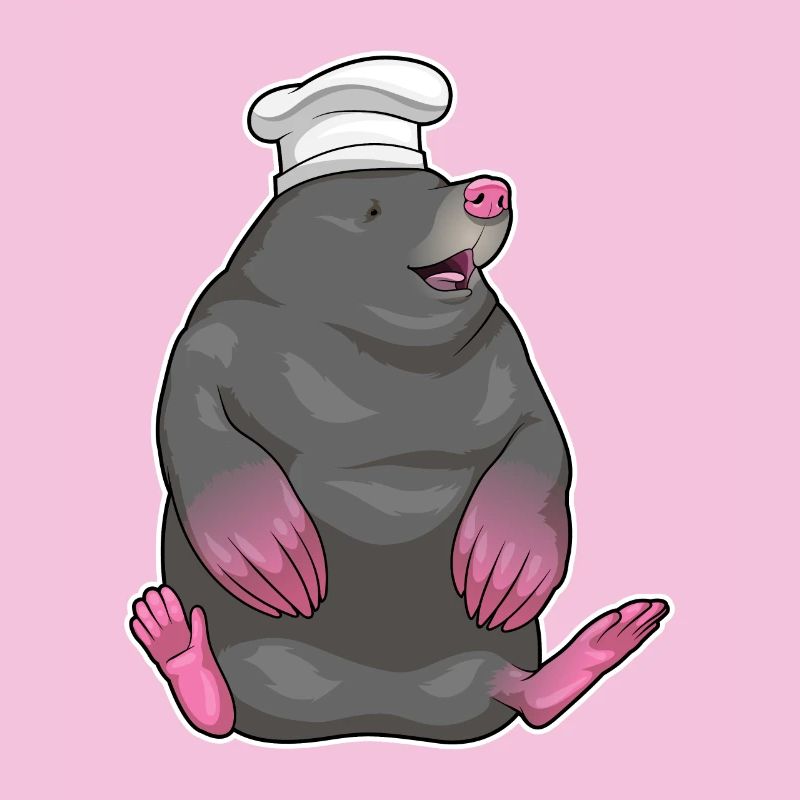 Chapeau de chef Mole Cook