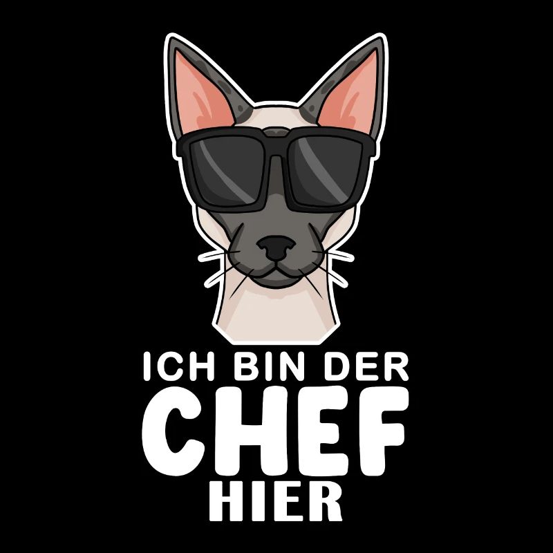 coole Katze - Siamkatze Spruch
