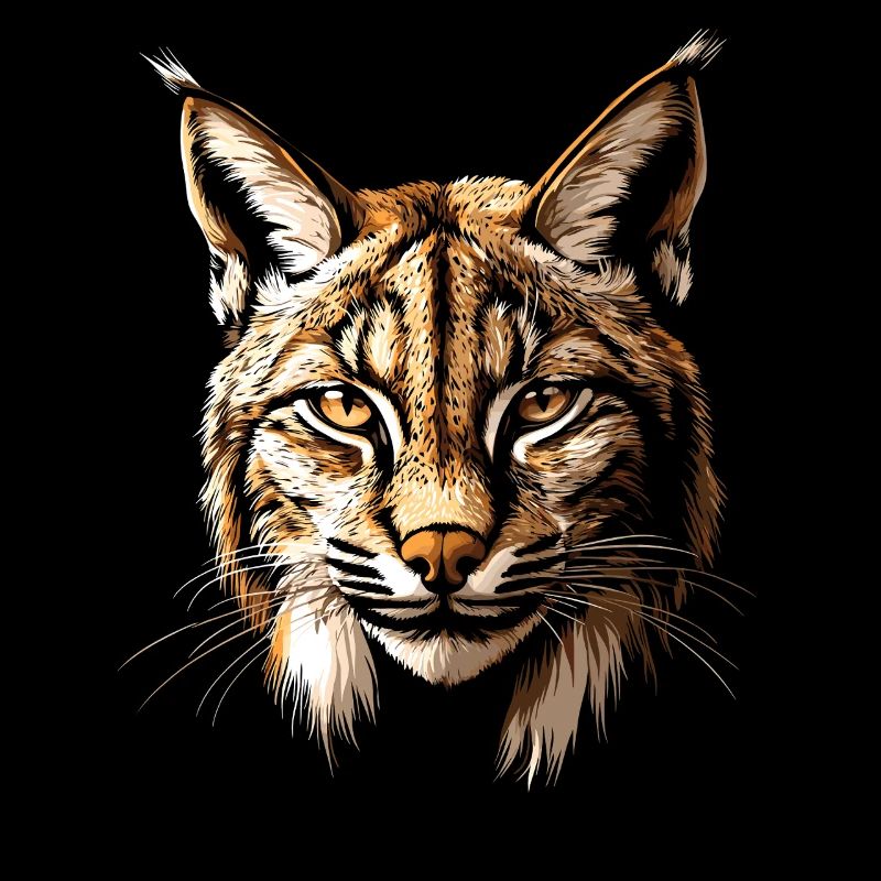 Lynx Chat sauvage Grands chats Chats Mignon Lynx