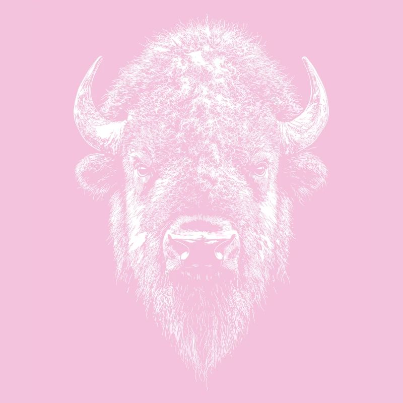 Bison, Bison, Wild Cattle, Buffalo, American Bison