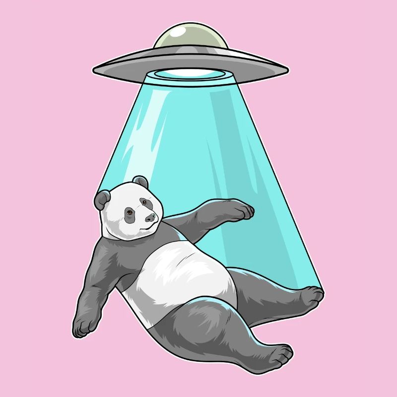 Vaisseau spatial Panda Space