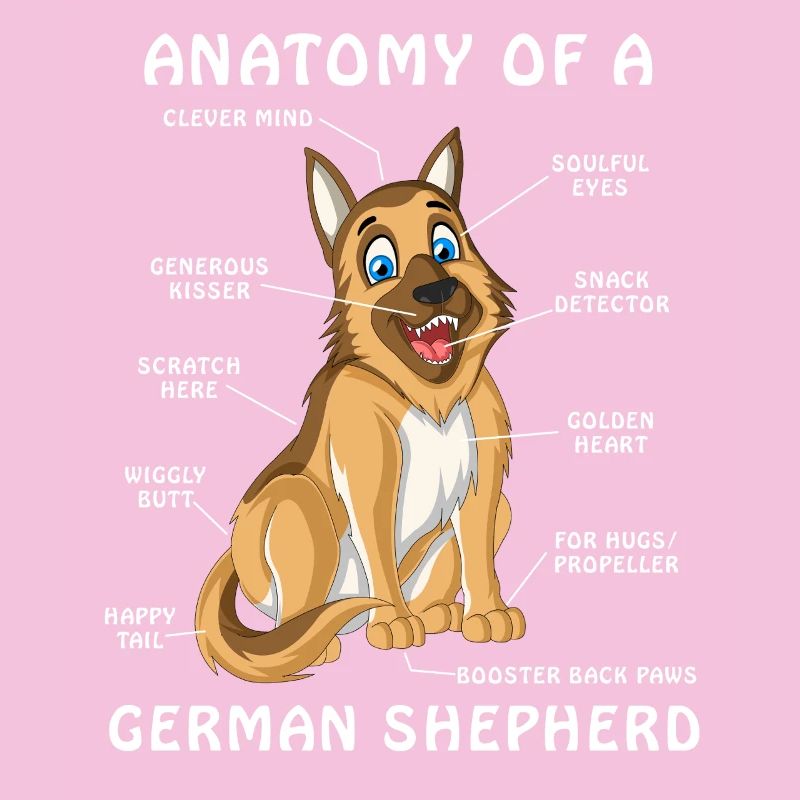 German Shepherd Anatomy