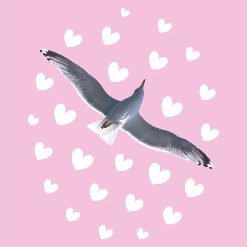 Mouette en vol, sois libre comme un oiseau