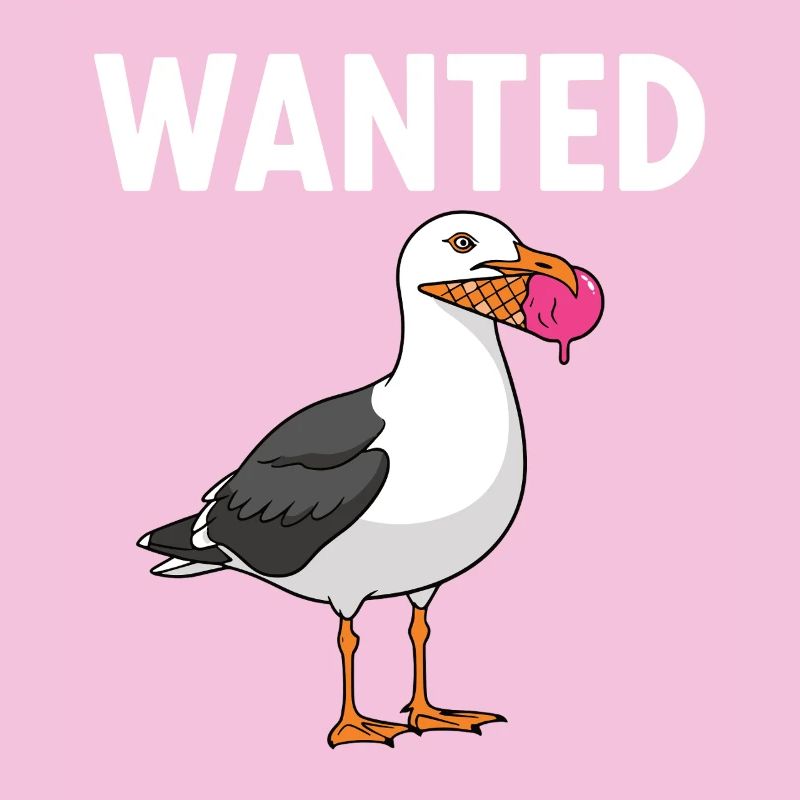 Gesucht Möwe Eiscreme Abenteuer