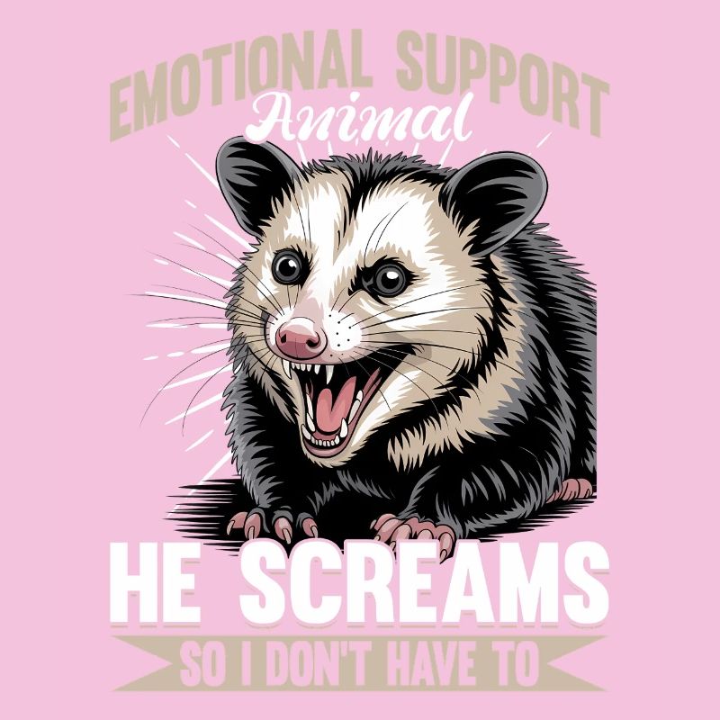 Funny Opossum