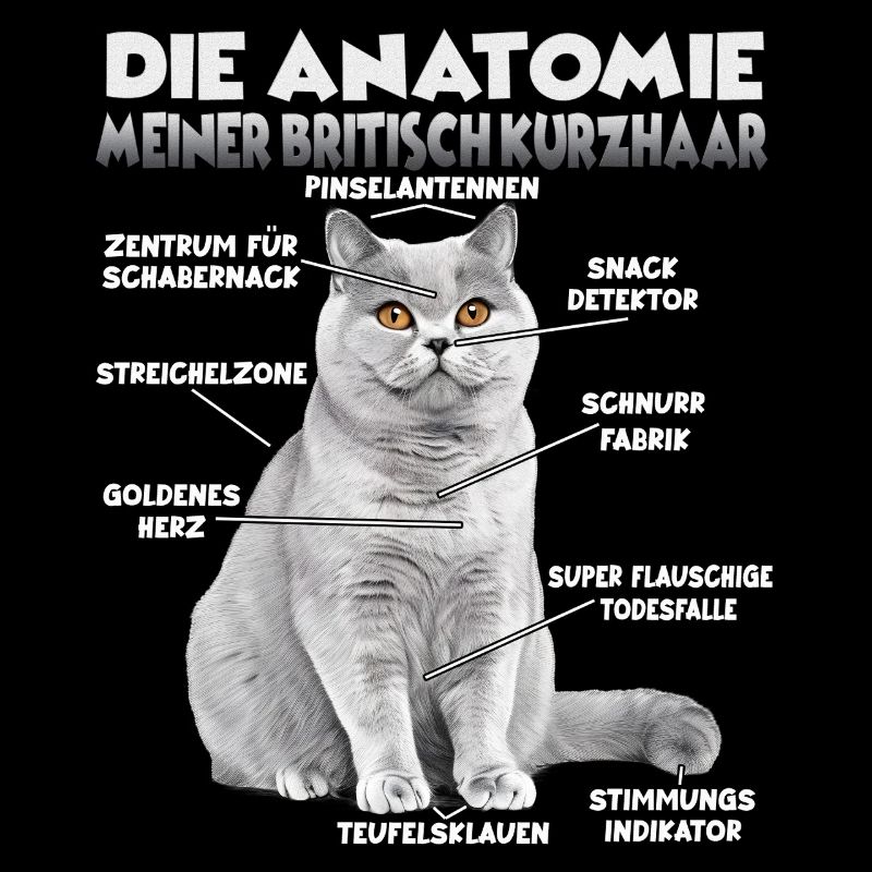 Britisch Kurzhaar Geschenk Katzenbesitzer Geschenk