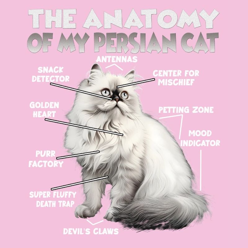 Cadeau pour chat persan, idée de cadeau pour chat