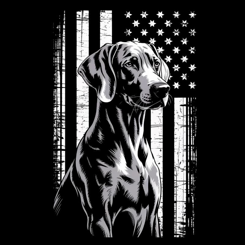 Chien gris avec rayures étoilées