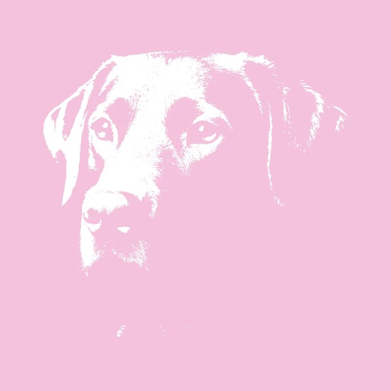 Labrador design stylé