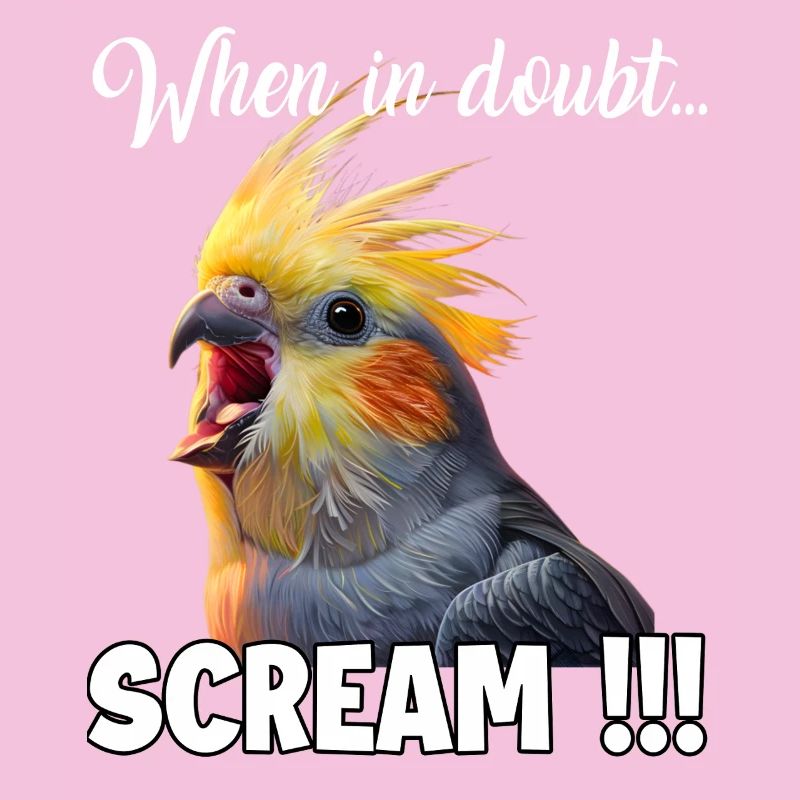 Drôle de T de calopsitte, mème de l’oiseau hurlant