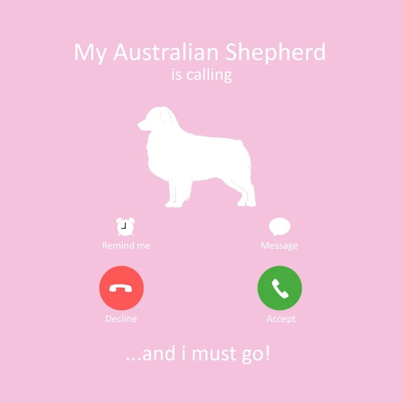 Australian Shepherd ruft, ich muss los, Hundemama.