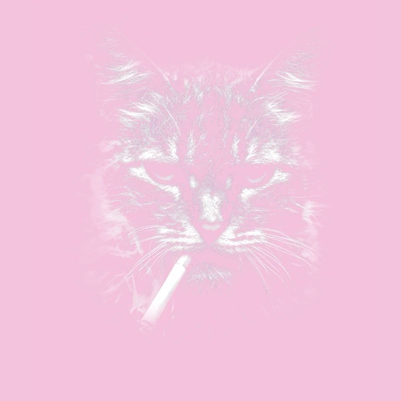 Smoking, cigarette, cat smoking a cigarette