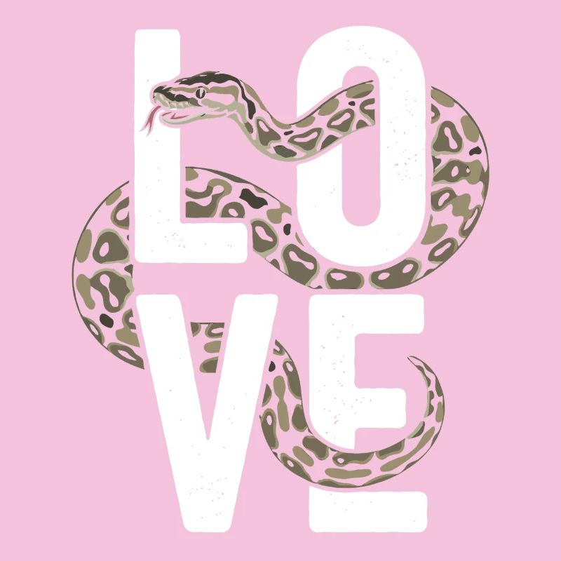 Les serpents rois Python ADORENT les pythons de terrarium
