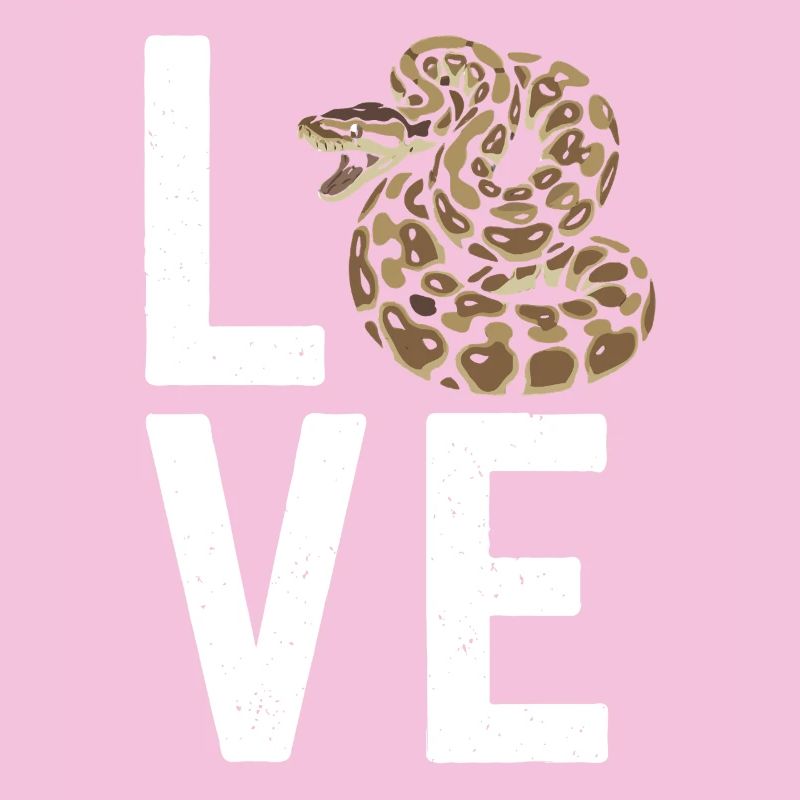 Les serpents rois Python ADORENT les pythons de terrarium