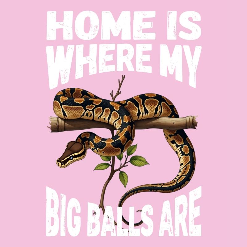 Königspython Schlangen Liebhaber Terrarium Python