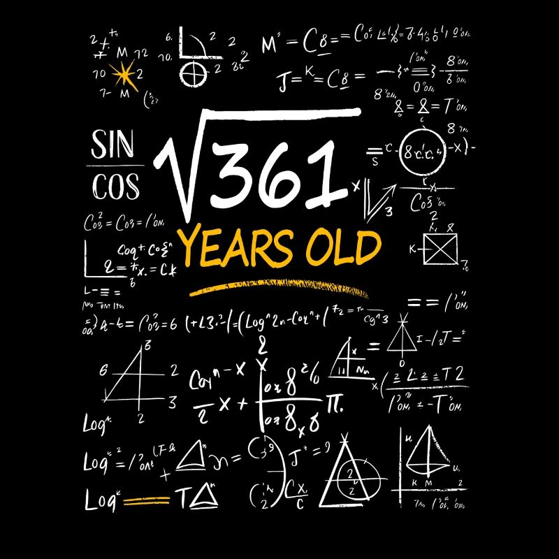 19 Years Birthday Math Formulas Funny