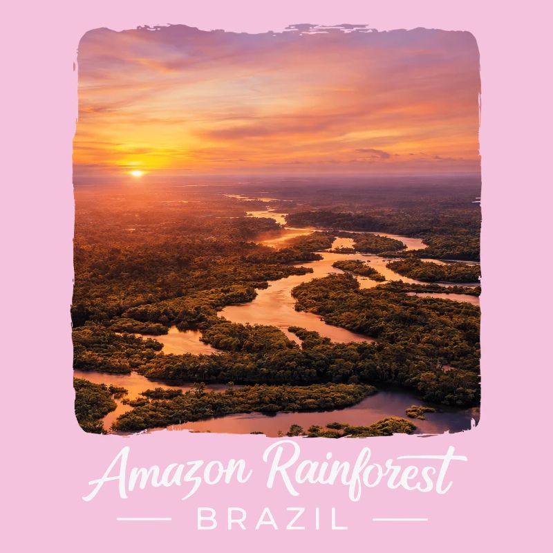 Rainforest Sunset Brazil
