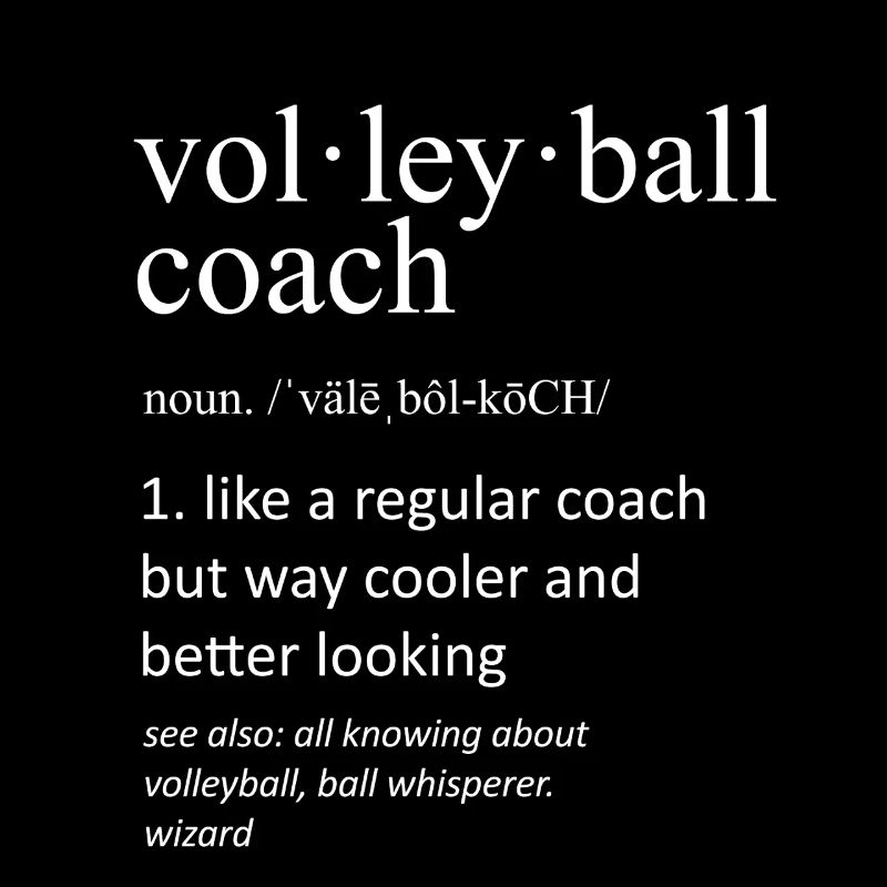 Volleyballtrainer Funny Dictionary Definition Art
