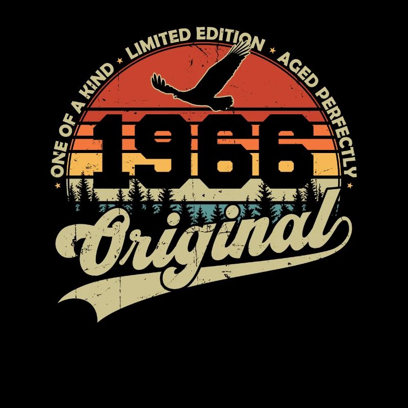 Original 1966 Vintage Retro Birthday Gift