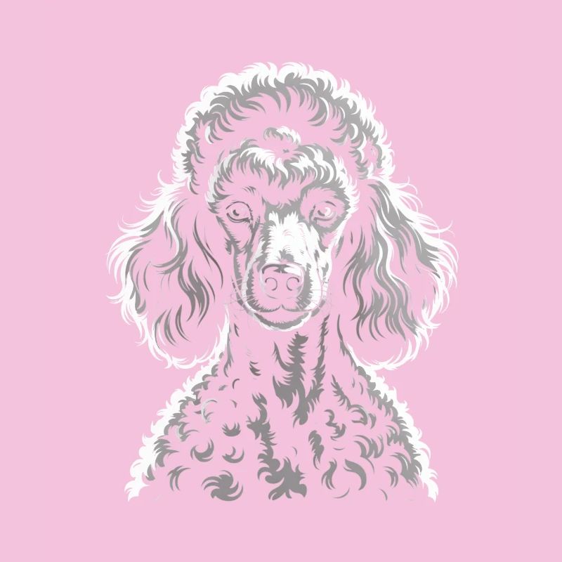 Caniche