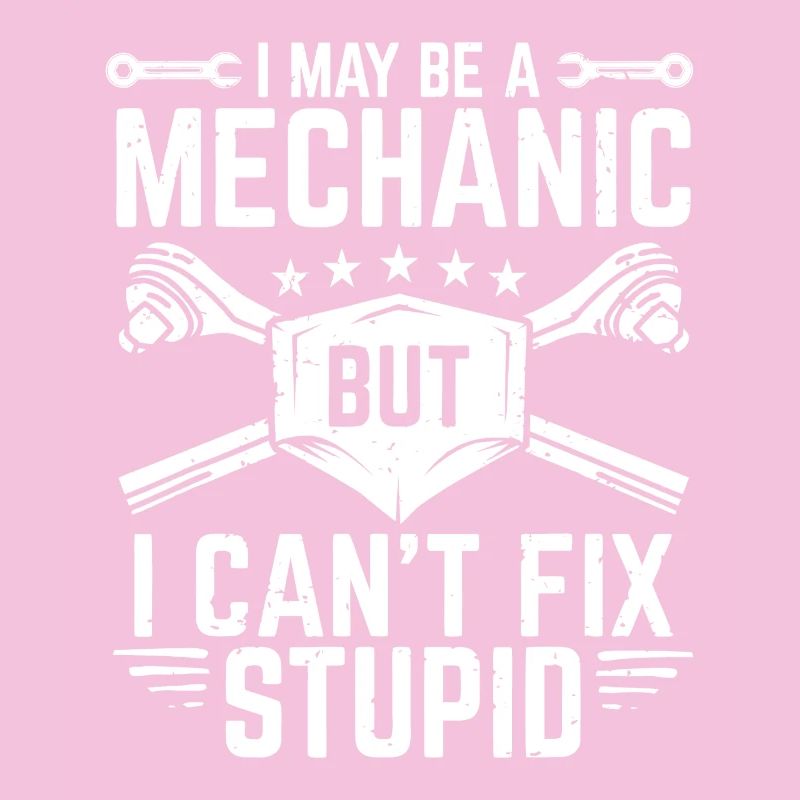 I May Be a Mechanic But I Can't Fix Stupid