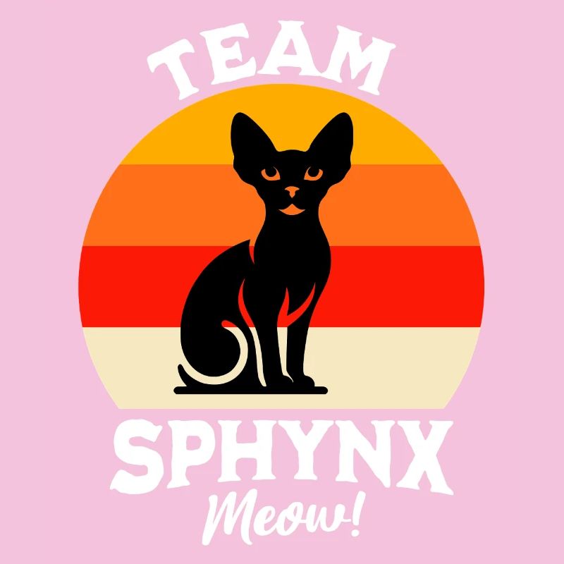Équipe Sphynx Cat