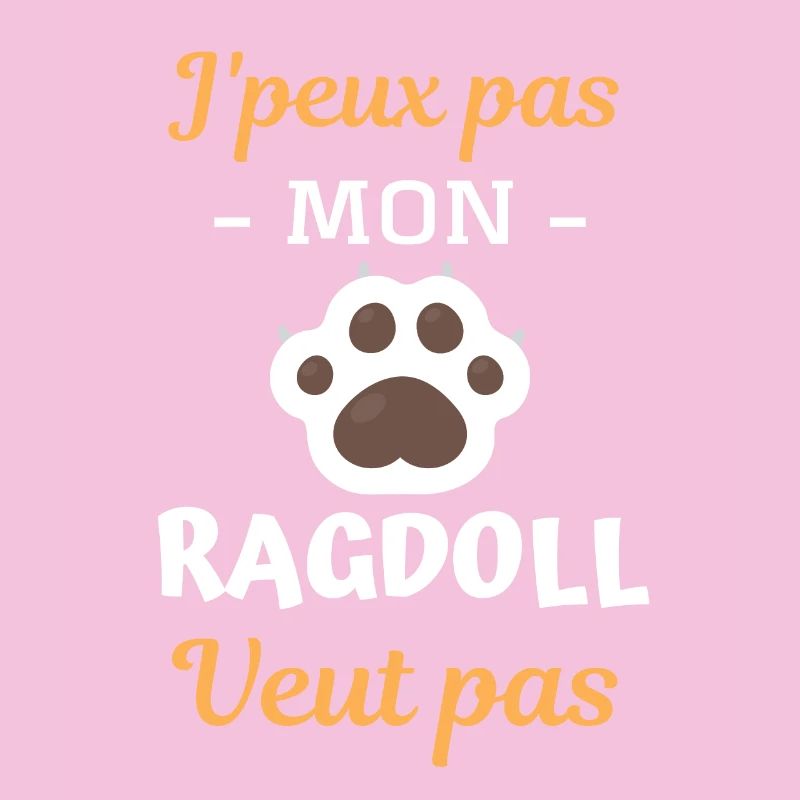 Race de chat ragdoll