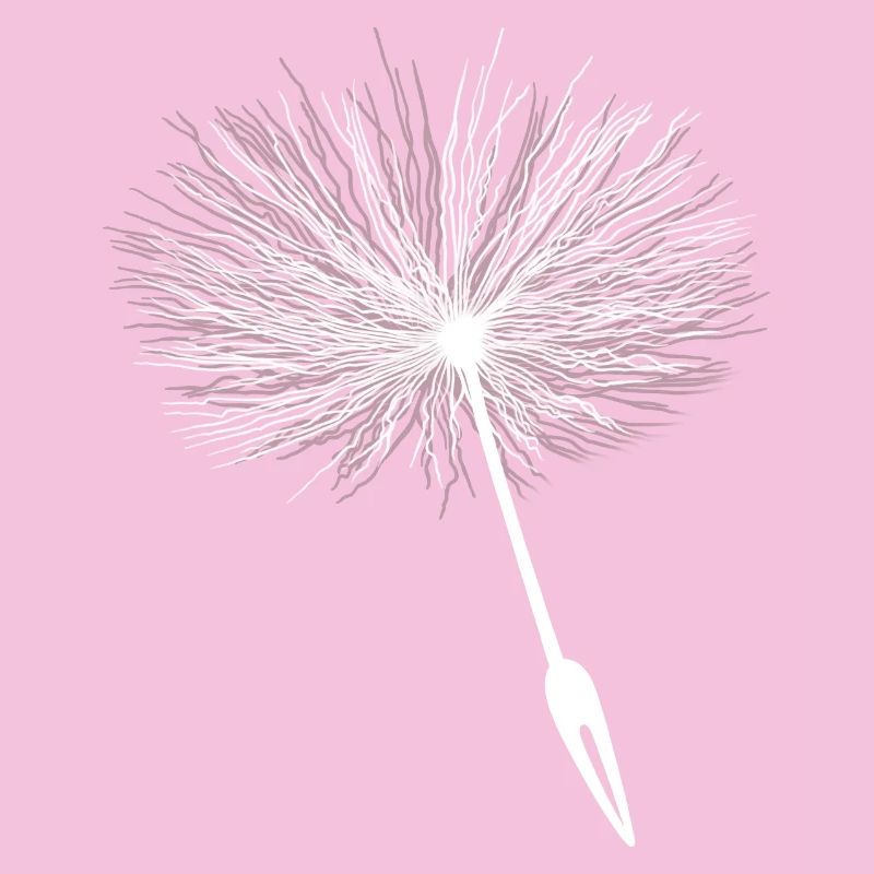 Loewenzahn Samen Pusteblume
