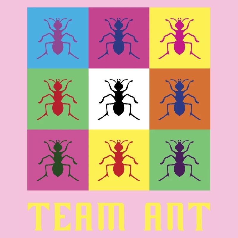 L'équipe Ant