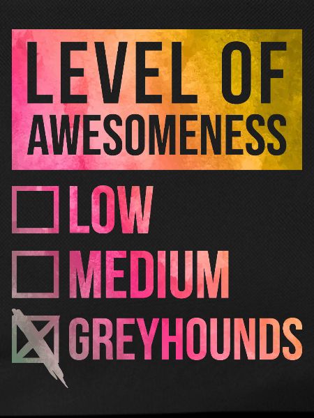 Greyhound Greyhound Greyhound