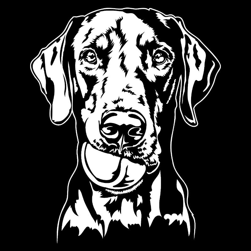 Dobermann Ball Balljunkie Hunde Wilsigns