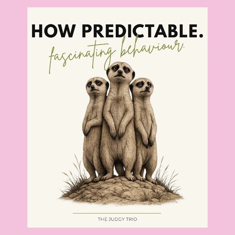 How Predictable Meerkat Trio